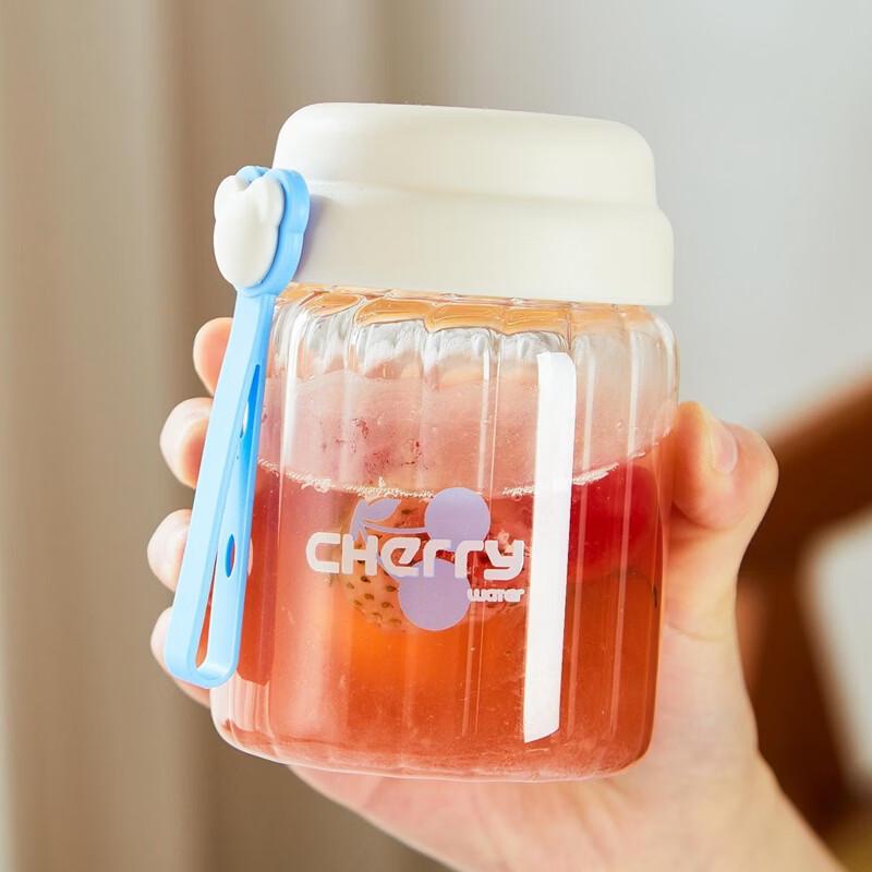 Bouteille d'eau portable en verre borosilicaté avec couvercle et poignée en corde