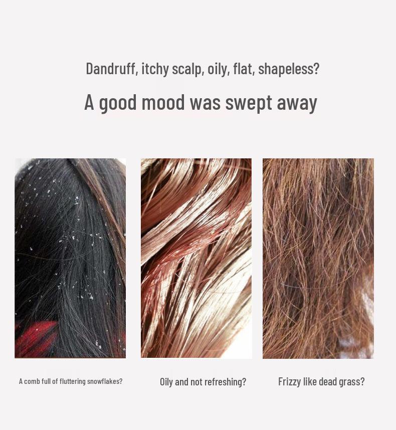 Boti Seaweed Probiotic Anti-Dandruff Nourishing Shampoo - Fragrant, Family Size for Men & Women