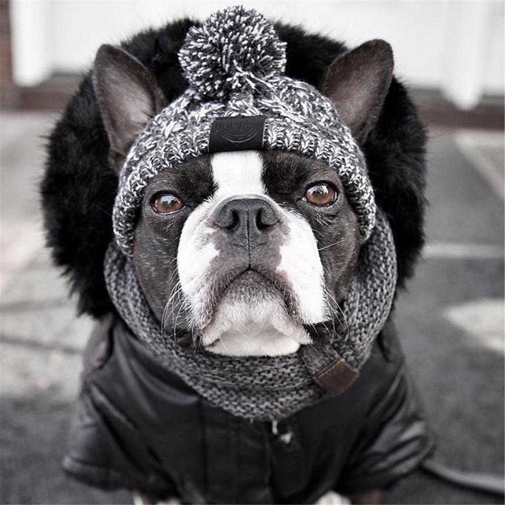 Warm Pet Dog Knitted Hat Windproof Headwear for Autumn Winter French Bulldog Hat for Dogs Chihuahua Hat Fluffy Ball Pet Hat