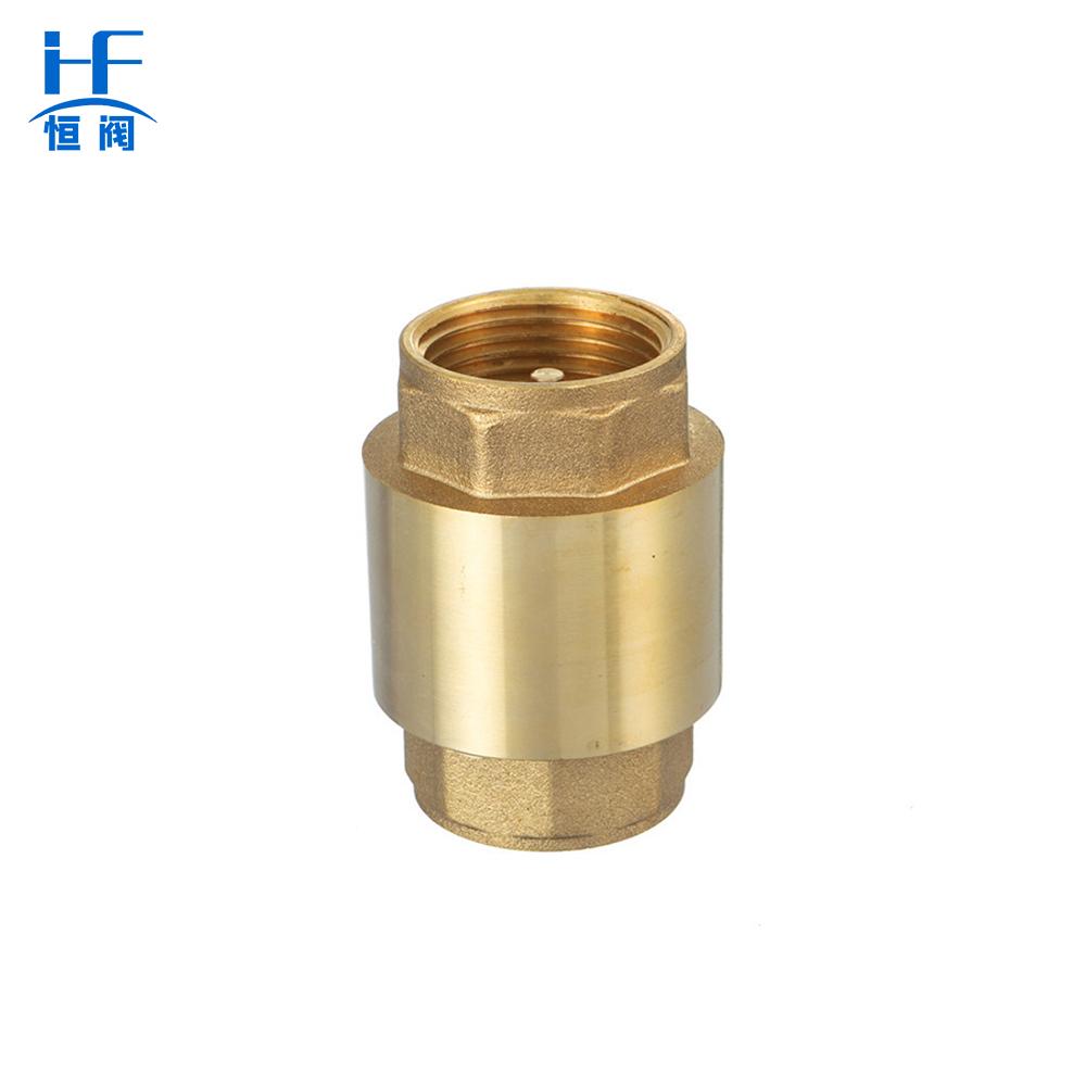 Thread Brass Vertical Spring Check Valve Spring Loaded Check ValveCopper Check Valves for Compressors