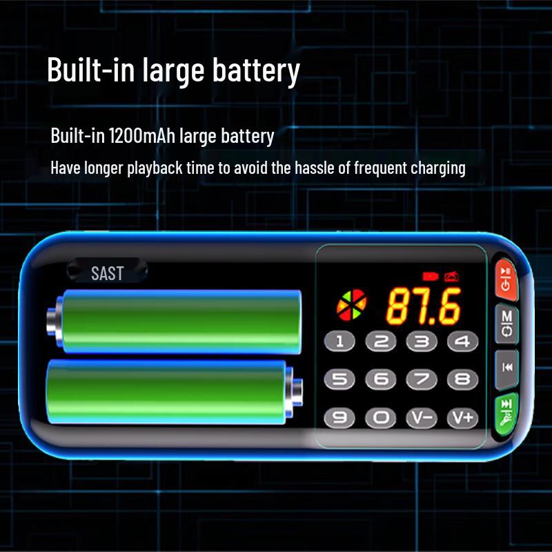 SAST Portable Multi-Function Radio & Media Player