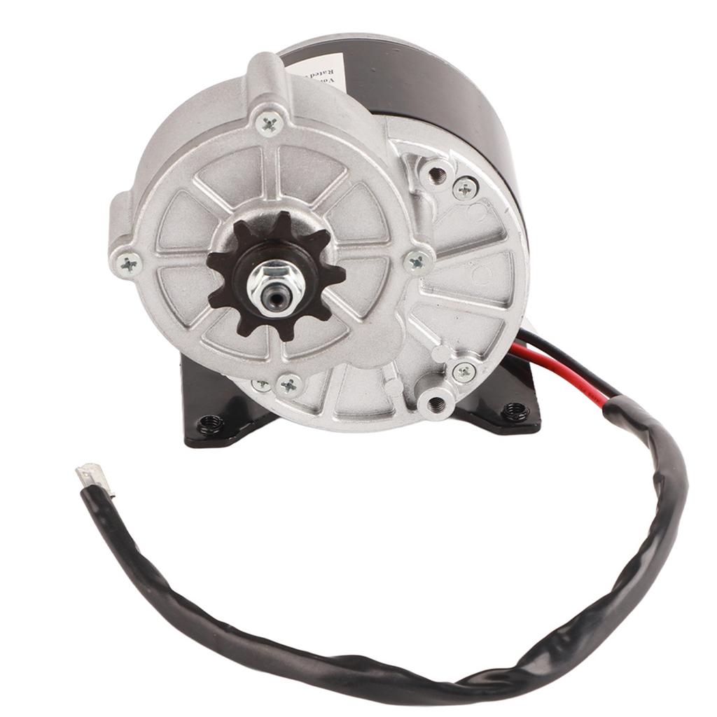 Metal Brush Geared Motor Accessory for Electric Scooter Farm Machinery Entertainment Equipment24V250W