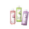 Long-Lasting 72-Hour Osmanthus & Camellia Oil-Control Shower Gel & Moisturizing Lotion