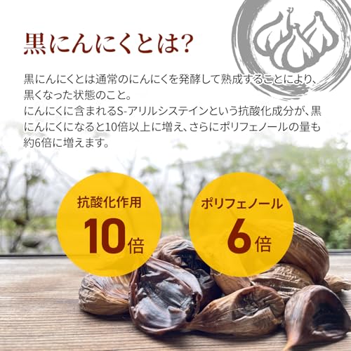 [Tokyo Deco] Black Garlic Fermenter, Max Fermentation Capacity 2kg, 3-Sided Heating, White/Pink [Easy Homemade Black Garlic Fermentation!] Healthy Hom