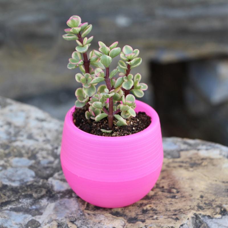 6 Packages Of Succulent Flower Pots Mini Stone Ball Pots Multi-Color Optional Thickened Resin Plastic Pots