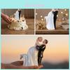 Western Style Cake Topper With Resin Bride And Groom Figures For Wedding Party Decor