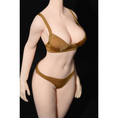 Fremego 1/6 Body Clothing Seamless Underwear Ladies Model Clothing 12-inch Action Doll Girl Bra Background Underwear D