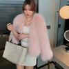 Autumn and winter new imitation mink hair splicing fox hair plush coat short thin imitation fur coat