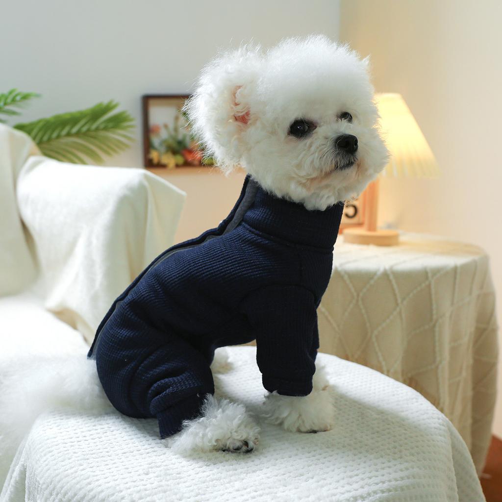 2025 Autumn and Winter Festival Pet Cute Puppy Kitten Casual Fashion Clothing