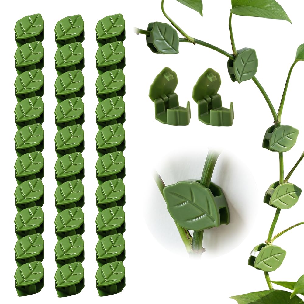 

60 plant climbing wall clips equipped with acrylic adhesive, leaf fasteners, invisible wall vine clips, self-adhesive hooks for plant vine guidance 60 Pcs
