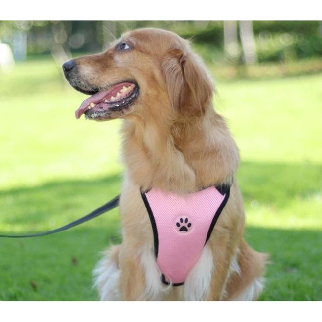 Breathable Mesh Dog Harness Car Automotive Seat Safety Dog Chest Straps Outdoor Training Adjustable Straps Pet Leash With