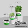 Soil-Free Hairball Relief Digestive Aid Cat Grass Tinned Food