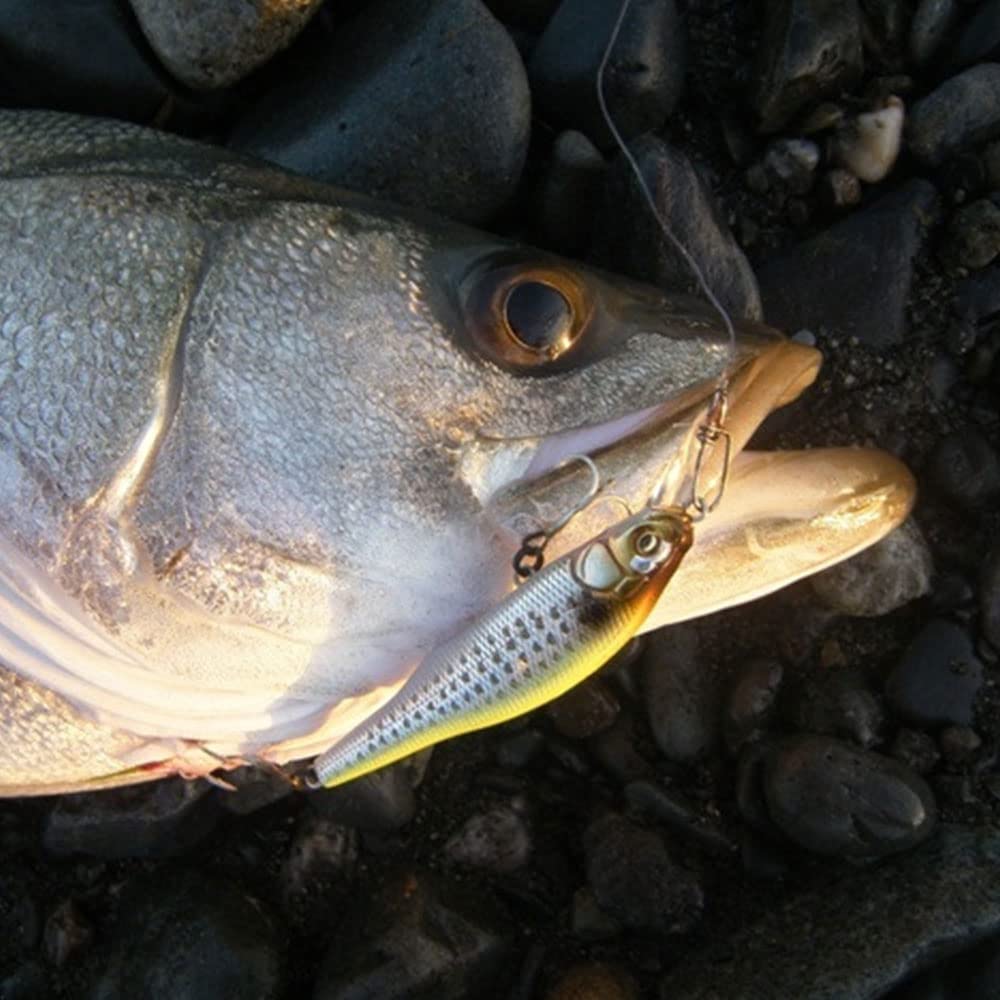 Megabass X-80 SW Slow-Sinking Lure - S GG Sardine