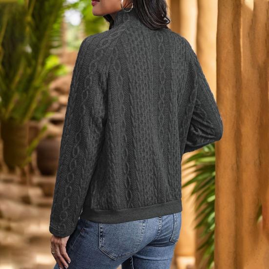 Fall Winter Sweatshirt Twisted Texture Turn-down Collar Pleathed Pocket Long Sleeves Loose Thick Pure Color Elastic Cuff Daily Wear Casual Top