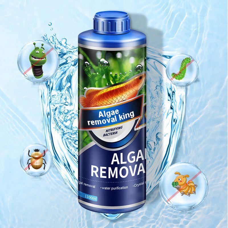 Algborttagare Akvarium Vattenväxter Akvarium Grön Vattenväxt Mossa Algborttagning Miljövänlig Ekologisk Säker Vattenrenare