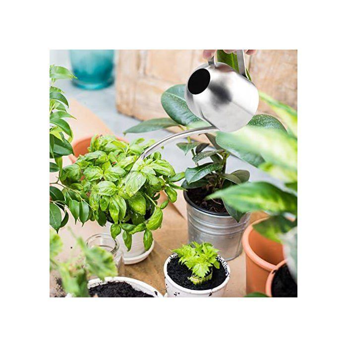 AIMOONSA Arrosoir acier inox 30 oz (0,9 L) - Bec long antigoutte, remplissage facile, idéal plantes & jardin