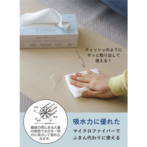 CB JAPAN Carari Cleaning Cloths, Absorbent Microfiber, 12-Pack, 23 X 23 Cm, Edgeless, Quickly Absorbs Water and Dries Quickly, Microfiber Tissue Cloth