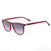 BelStaff Acetate Women S SunglaSSeS Multicolor