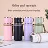 Shangqi Tea Infuser Bottle
