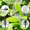 Ruokey Oniyanma Insect Repellent, 2 Dragonflies, 12cm, Realistic Dragonfly Repellent, Pest Repellent, Realistic Dragonfly Repellent, Comes with Strap