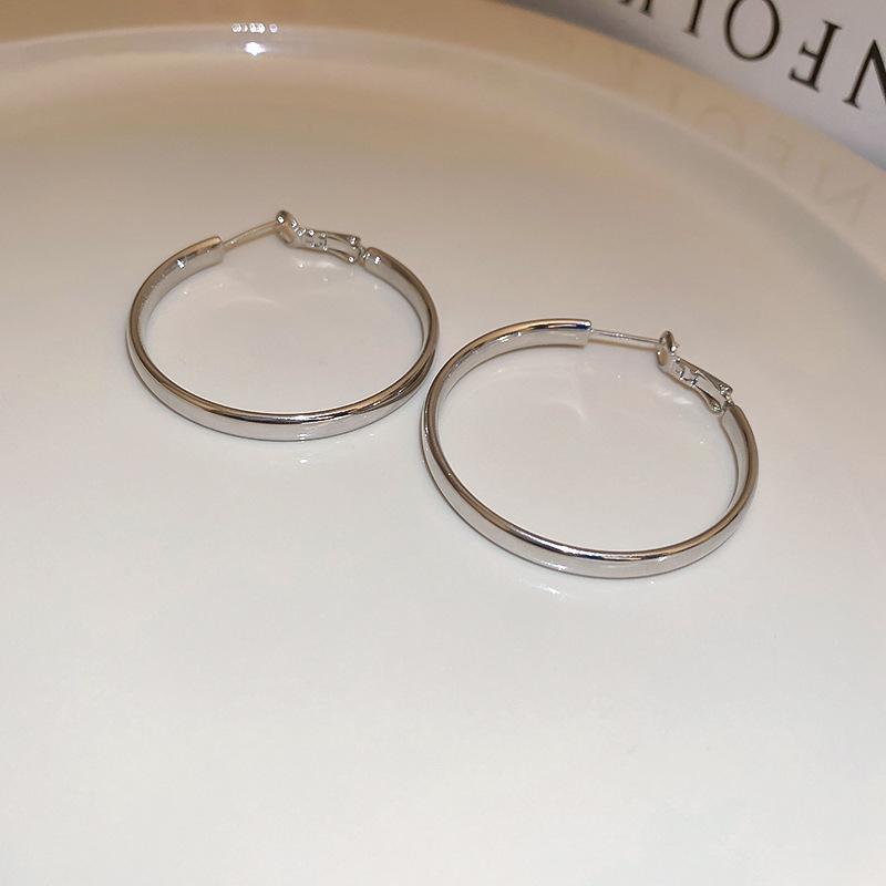 High-End Light Luxury Cold-Style Metal Hoop Earrings