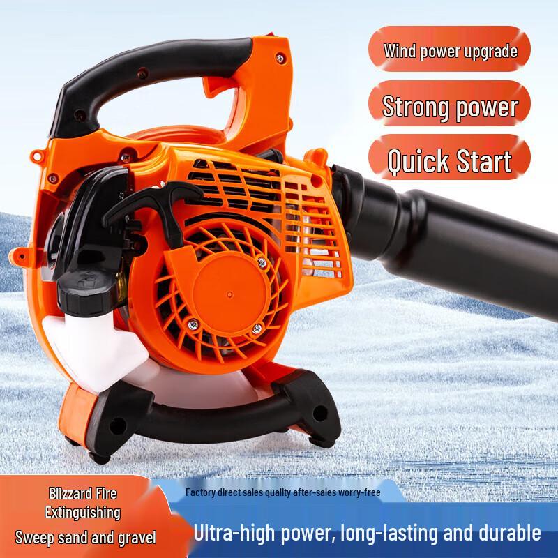 Longlida EBV260 High-Power Gasoline Blower CN plug (adapter included)