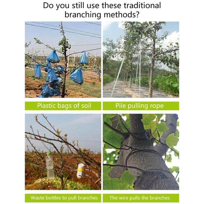 Steel Fruit Tree Shaping and Bending Tools 15 Pack 3 Sizes Branch Positioners Puller For Optimized Sunlight Exposure