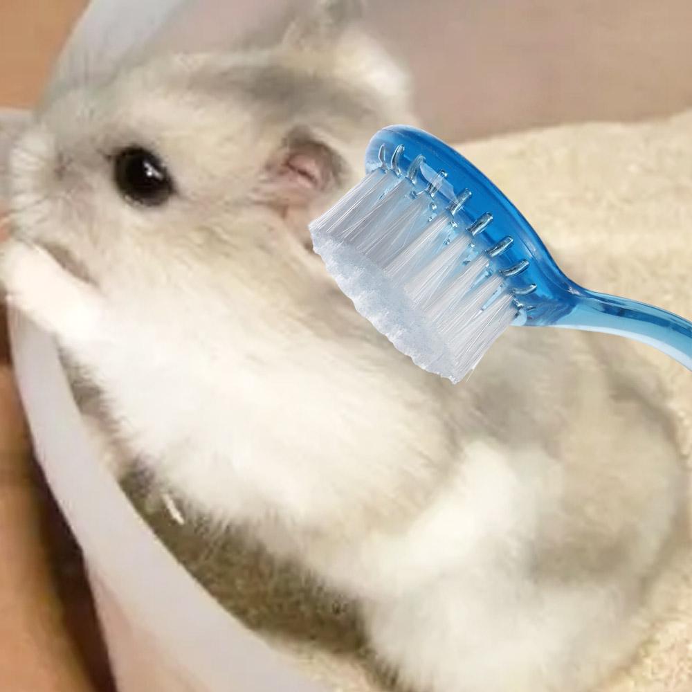 Weiche Kleine Hamsterbürste Langhaar Runder Kopf Igel Badebürste Hamster Reinigungsbürste Kunststoff Meerschweinchen Massagekämme