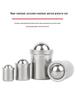 304 Stainless Steel Spring-Loaded Ball Plunger with Limit Screw