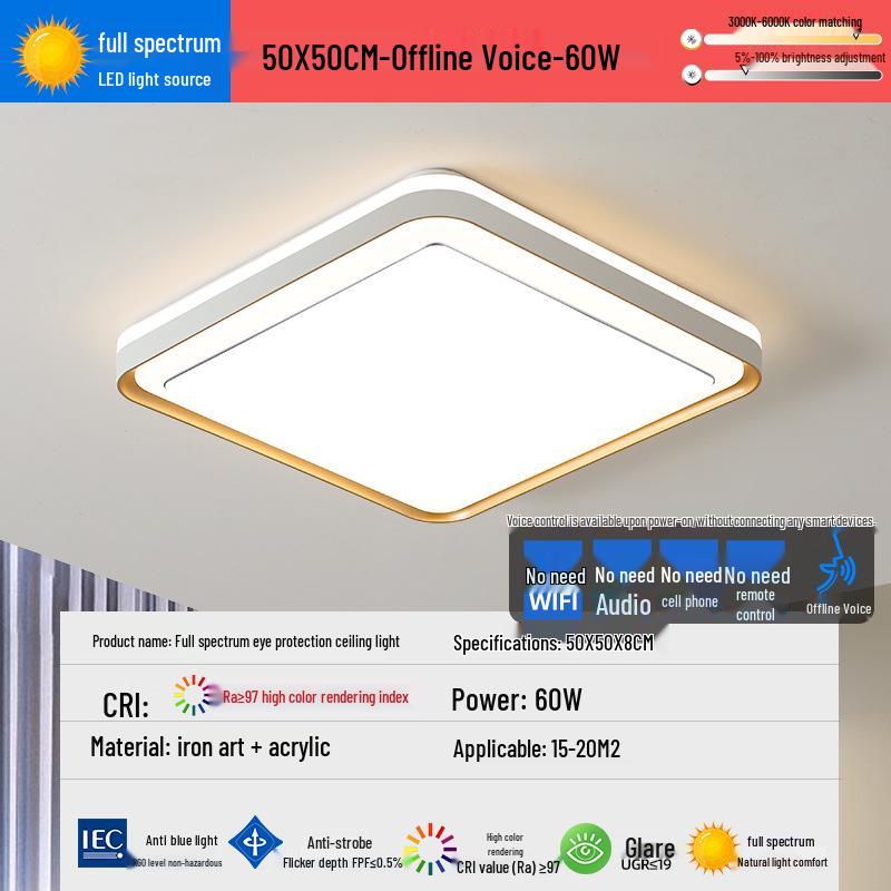 2025 LED Eye-Protecting Full Spectrum Ceiling Light for Bedroom and Living Room - Modern and Simple Design