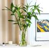 Shatter-resistant Impact-resistant Vase Children Pets Indoor Outdoor Decorative Flower Container 10X20CM