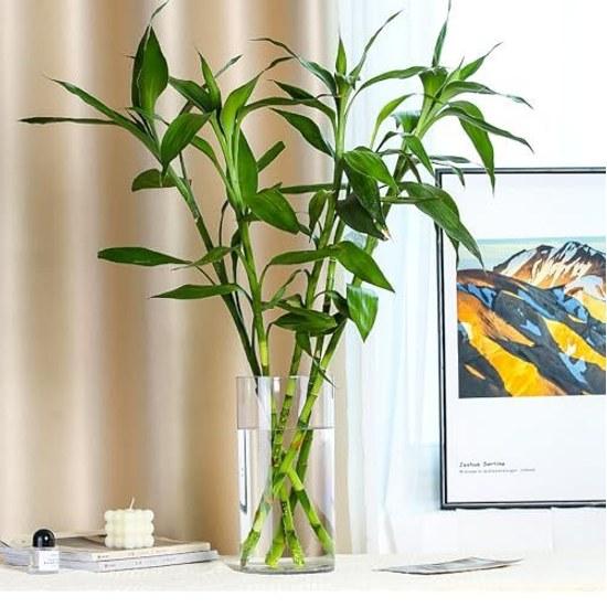 Shatter-resistant Impact-resistant Vase Children Pets Indoor Outdoor Decorative Flower Container 10X20CM