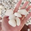 200~800g Weiße Kieselsteine 2~3cm Landschaftsgestaltung und Straßenbelag Hochglanz-Regenblumensteine Pooldekoration Stein TMZ
