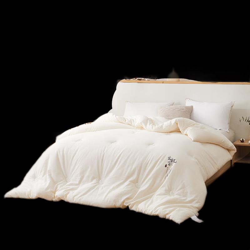 Chans Organic Cotton Soy Fiber Quilt
