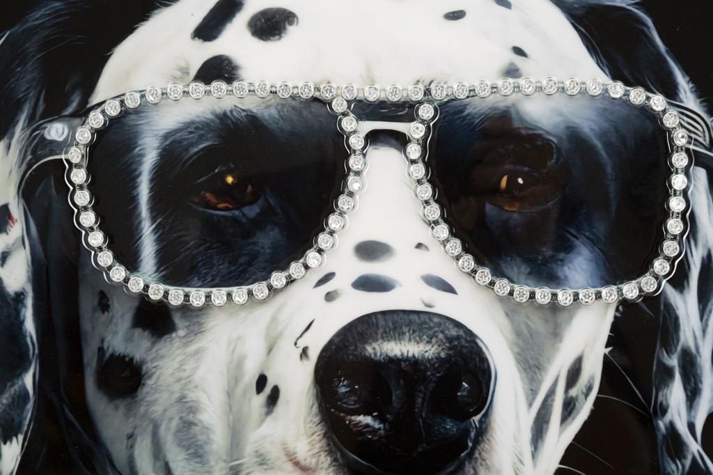 Laquared Wall Panting With Frame Trap Cm 53X3X73