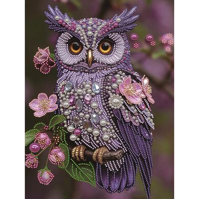 Sieraden Dier Speciaal Vormgegeven 5D DIY Gedeeltelijke Boor Diamant Schilderen Kits voor Volwassenen Huisdecoratie Diamant Kunst Kit 11.81x15.75inch