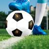 1PC Golden Lion Majesty Soccer Ball Size 5 Football Machine Sewn Indoor/Outdoor Universal Football S108