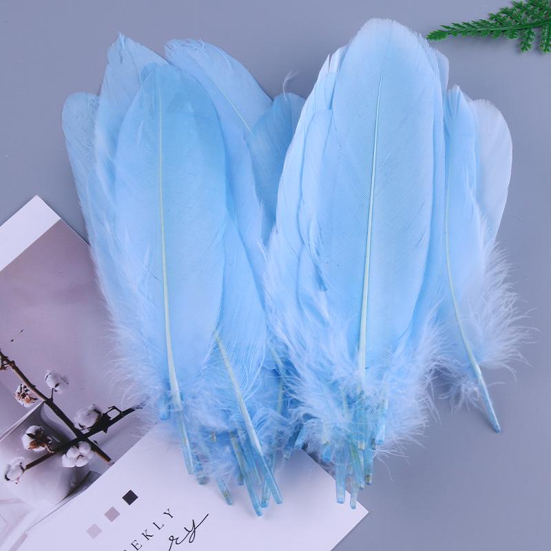 50Pcs Shellfish Feather Goose Feather Diy Handmade Jewelry Accessories Handicrafts Cat Toys Decorative Feathers