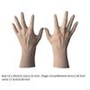 2Pcs Left and Right Human Hand Mannequin Model Jewelry Display Lifelike Photo Props Rings