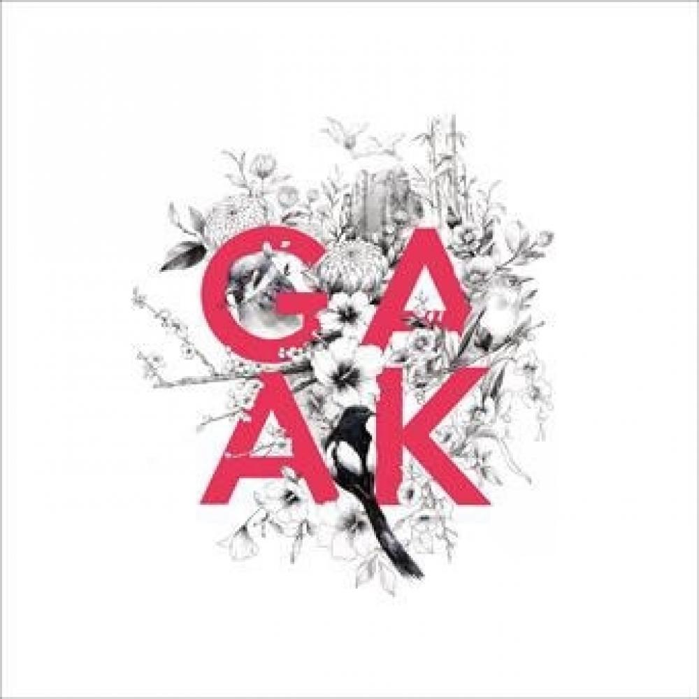 

Gaak Project Leap