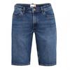 Mens Denim Shorts