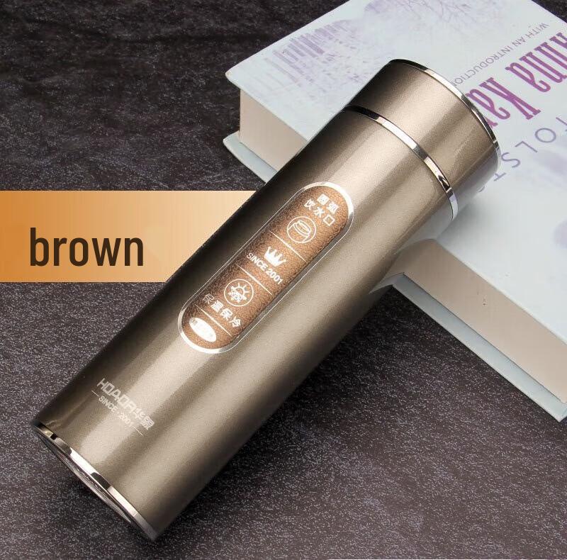 

HOAOR Insulated Business Water Bottle