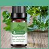Safe Essential 10ml Oil Ingredients To Absorb Wide Application Easy Nonirritating Nourishing Moisturizing Skin Mint