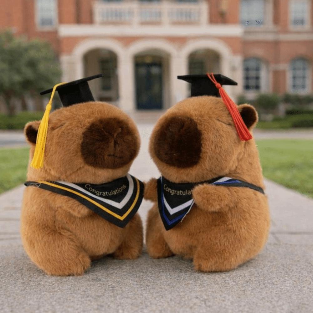 25 CM Cute Stuffed Animal Cartoon Design Doctor Hat Capybara  Gift Giving