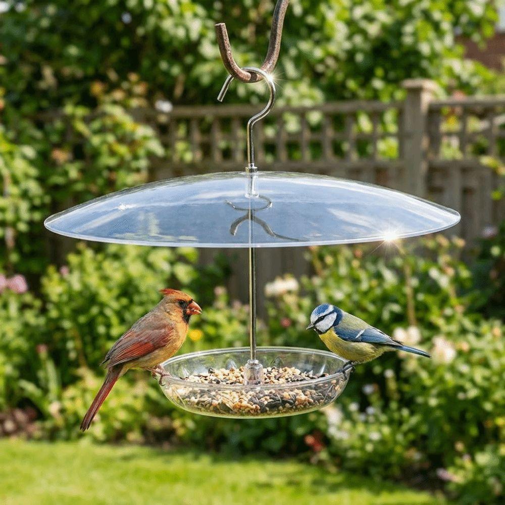 Clear Dome Bird Feeder Rain Guard Cover UV Protection Weatherproof Umbrella Bird Feeder Snow Proof Plastic