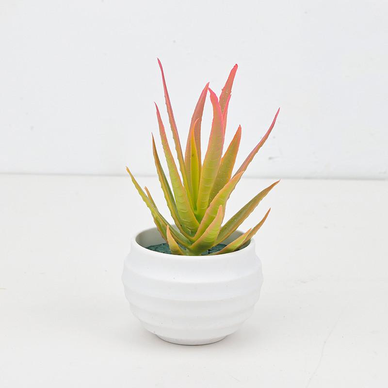 Succulent Aloe Vera Simulated Green Plant For Home And Office Table Decor