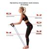 TLXT Resistance Band & Chest Expander