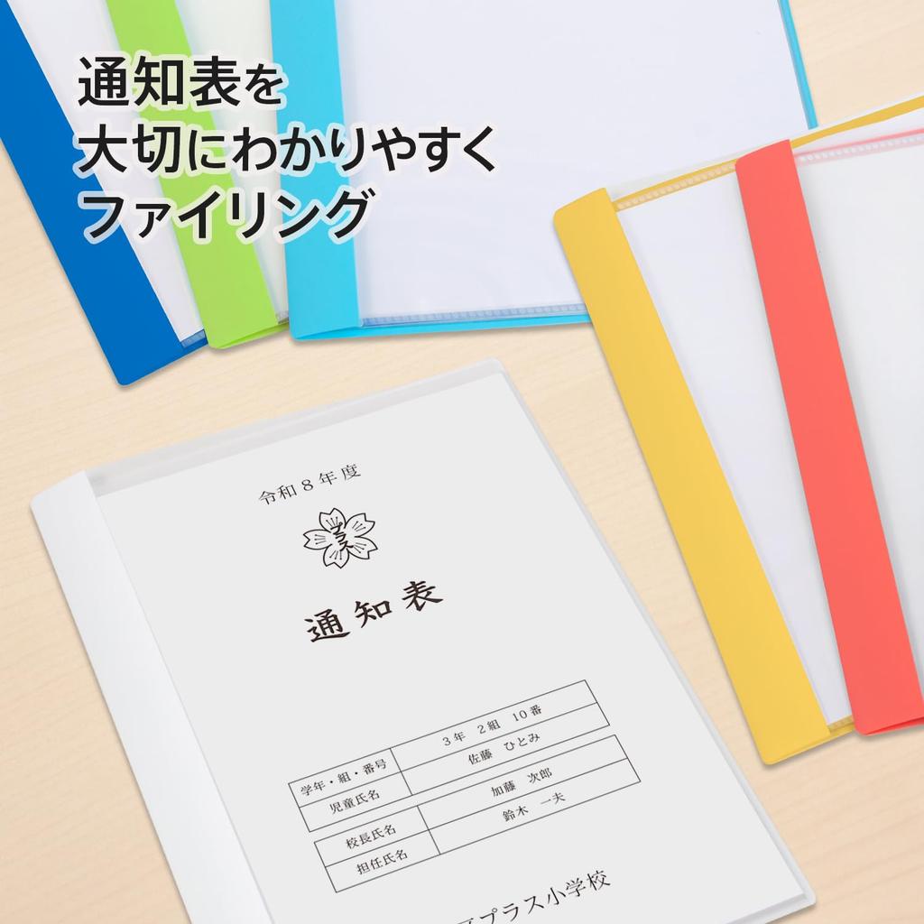 Plus Pocket Report Card Horizontal 10 Pack of x 10 File, File, Insert, Pockets, 10, White, FL-198GD, 79-975