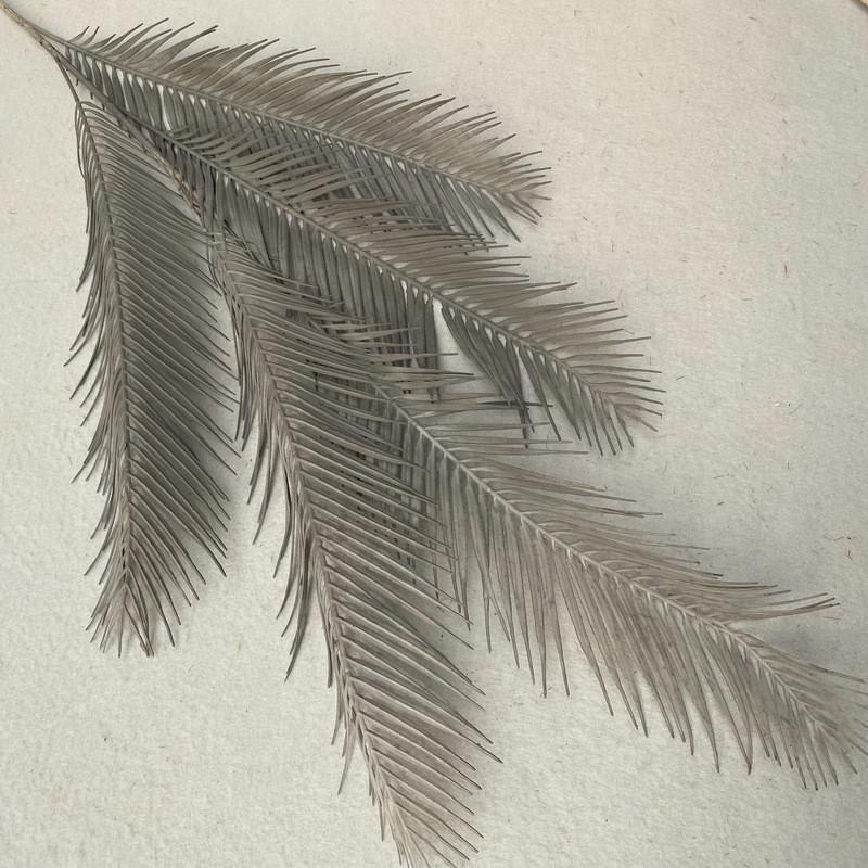 Texture Foliage Fern For Indoor Decoration Wedding Photography Props Gift