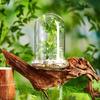 Cupola di Vetro con Foro per l'Aria Campana di Vetro a Cloche con Base Espositore da Tavolo per la Casa Contenitore Terrario Trasparente per Piante, Terrario